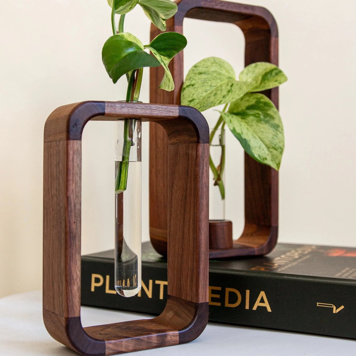 Hollow Plant Propagator