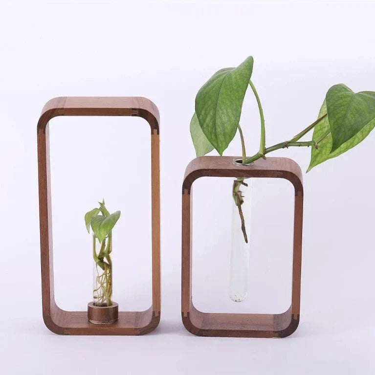 Hollow Plant Propagator