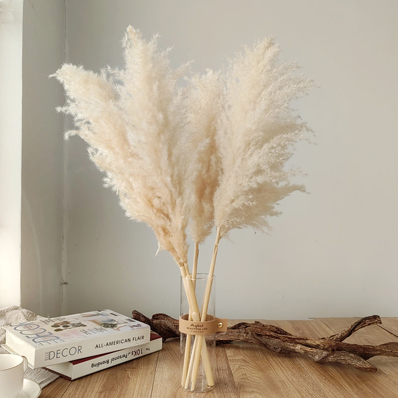 Dried Natural Grass Plumes 10-Piece Set