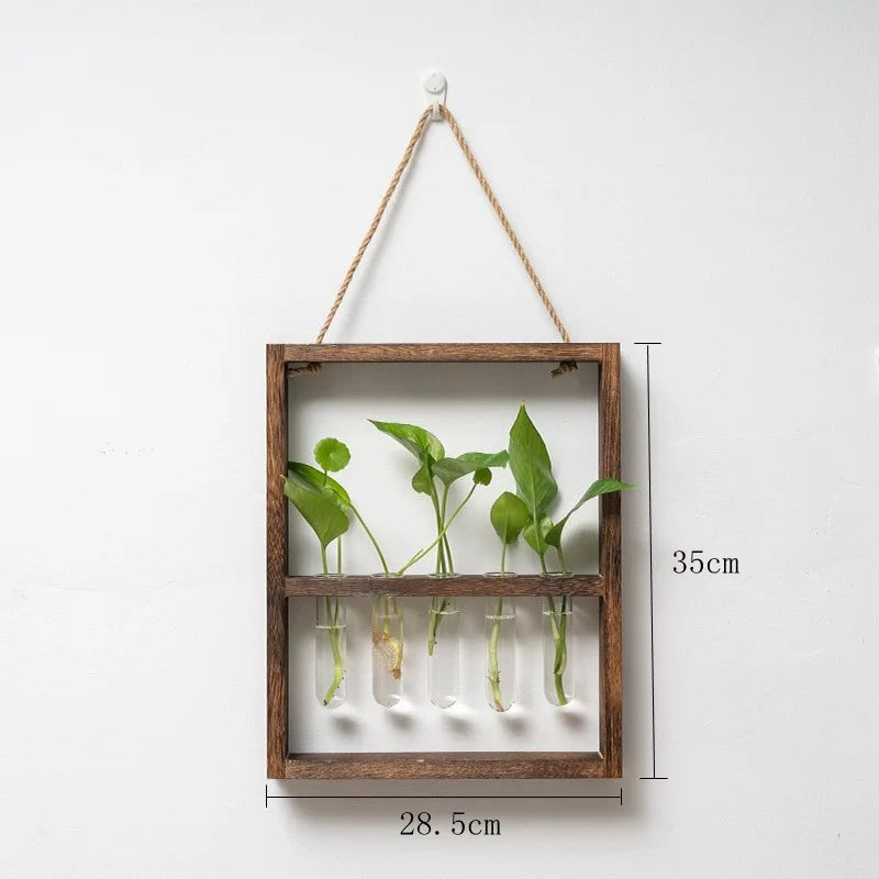 Plant Propagating Photo Frame