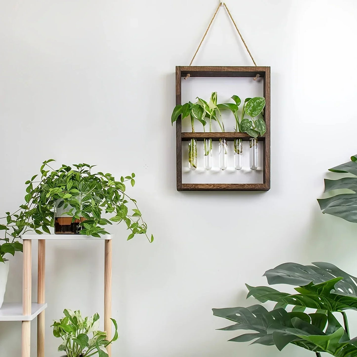 Plant Propagating Photo Frame