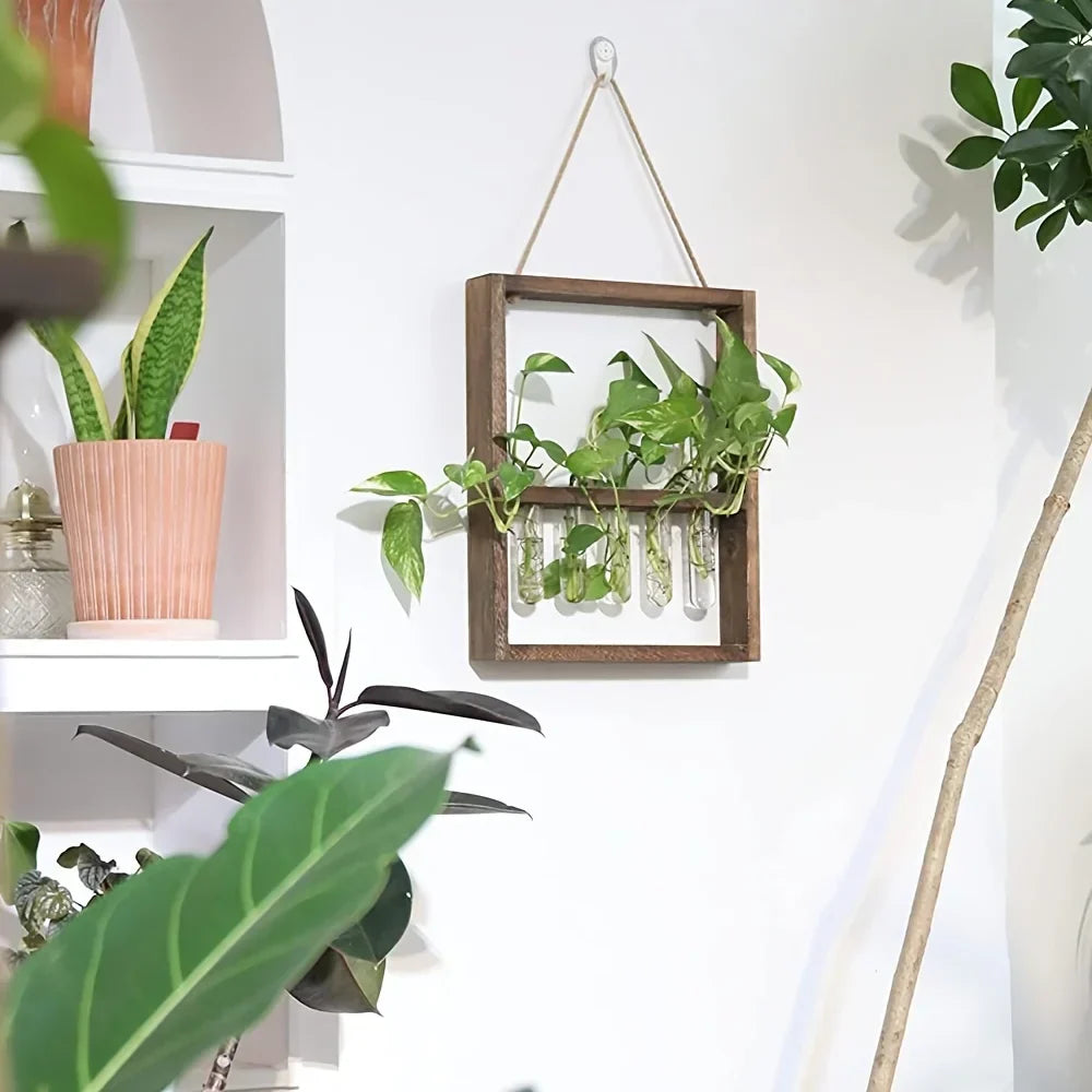 Plant Propagating Photo Frame