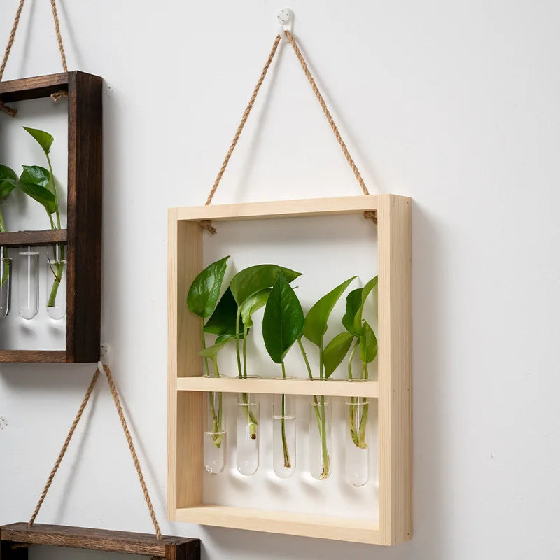 Plant Propagating Photo Frame