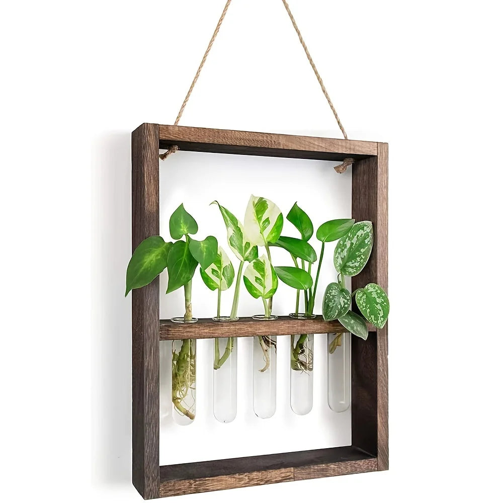 Plant Propagating Photo Frame