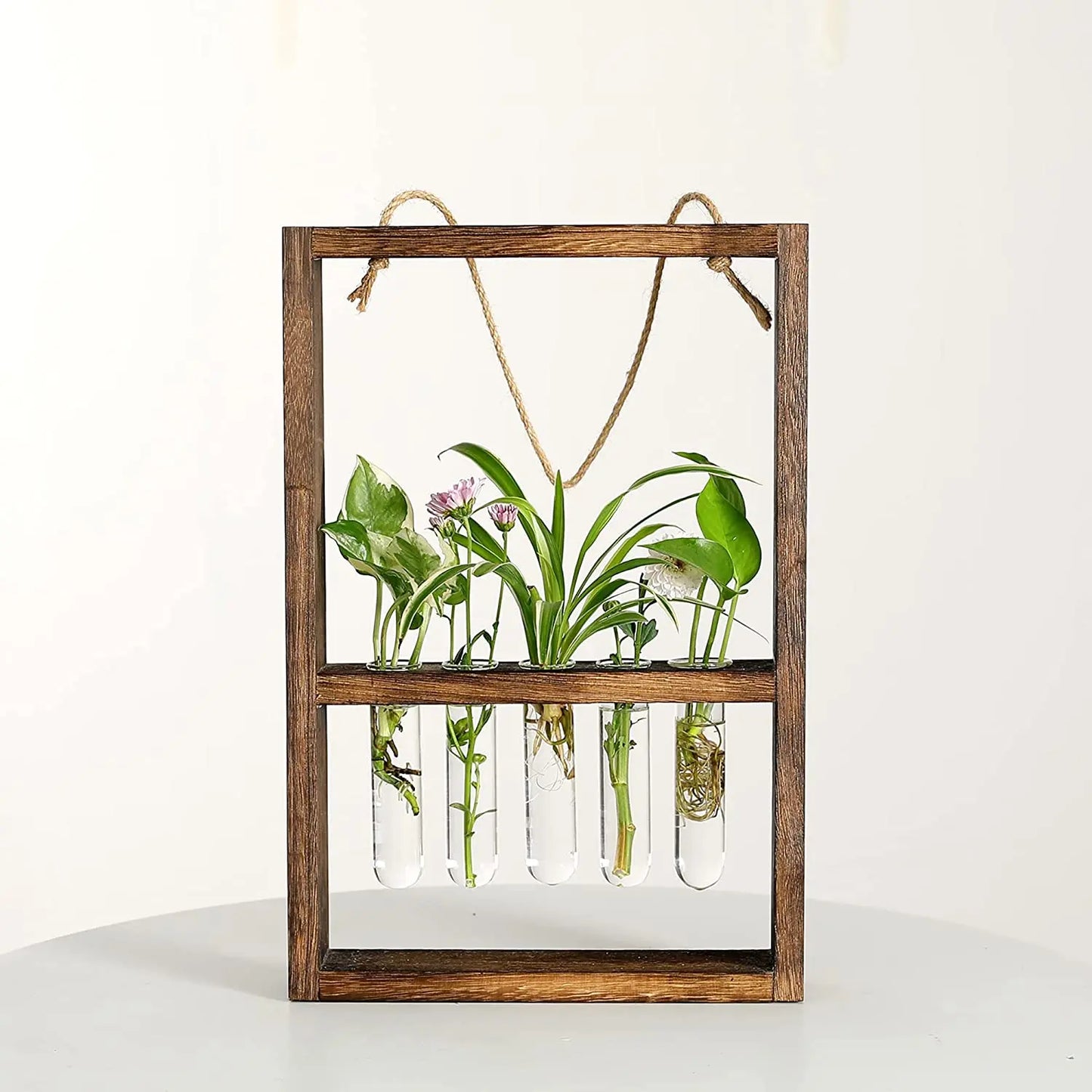 Plant Propagating Photo Frame