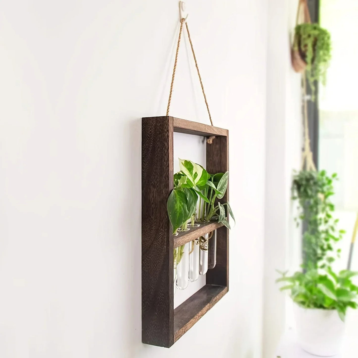 Plant Propagating Photo Frame