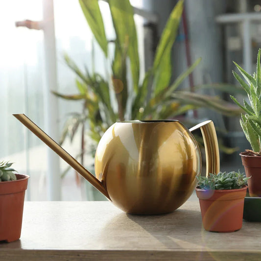 Minimalist Plant Watering Can