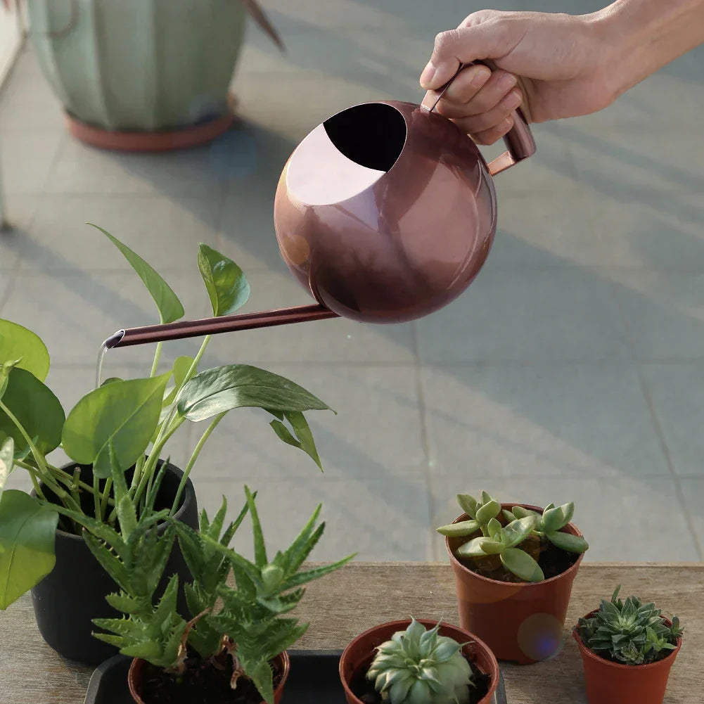 Minimalist Plant Watering Can