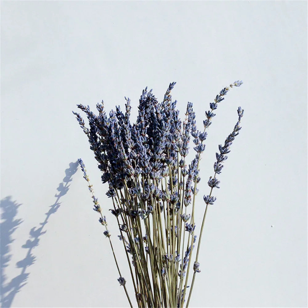 Natural Dried Lavender