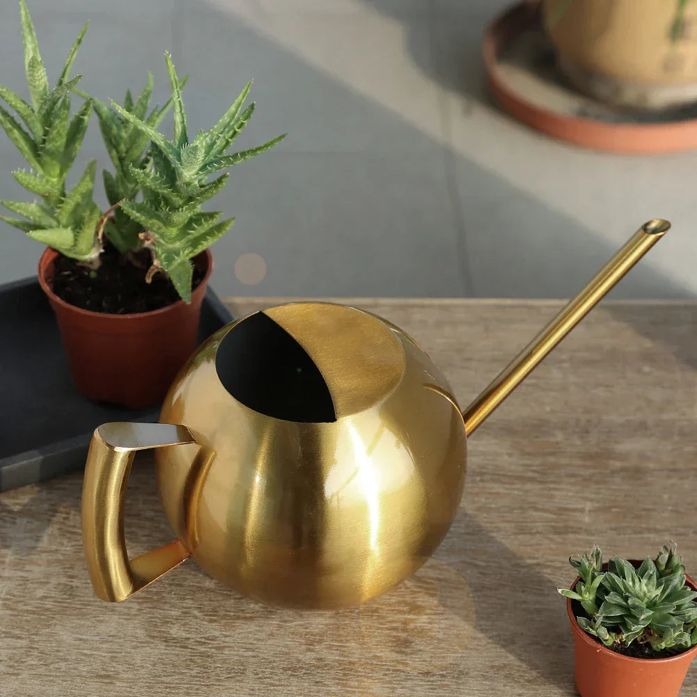 Minimalist Plant Watering Can