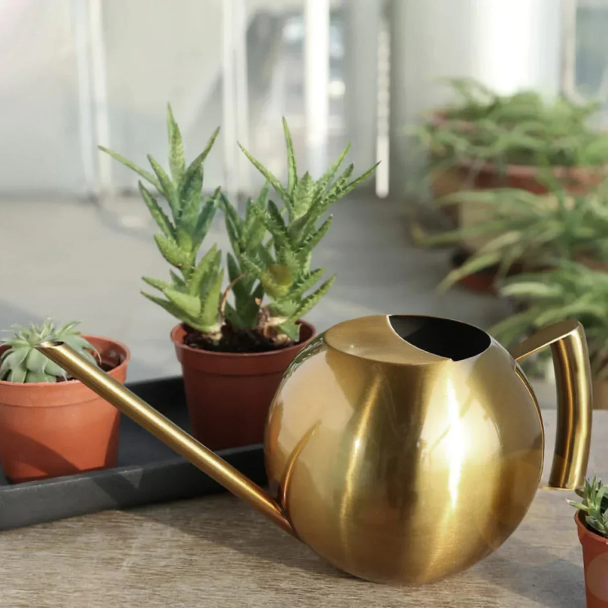 Minimalist Plant Watering Can