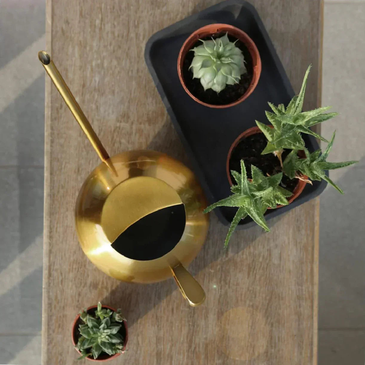 Minimalist Plant Watering Can