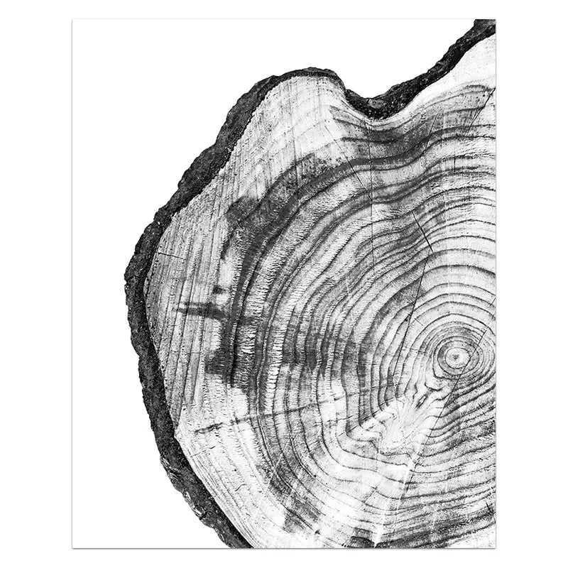 Tree Stump Canvas