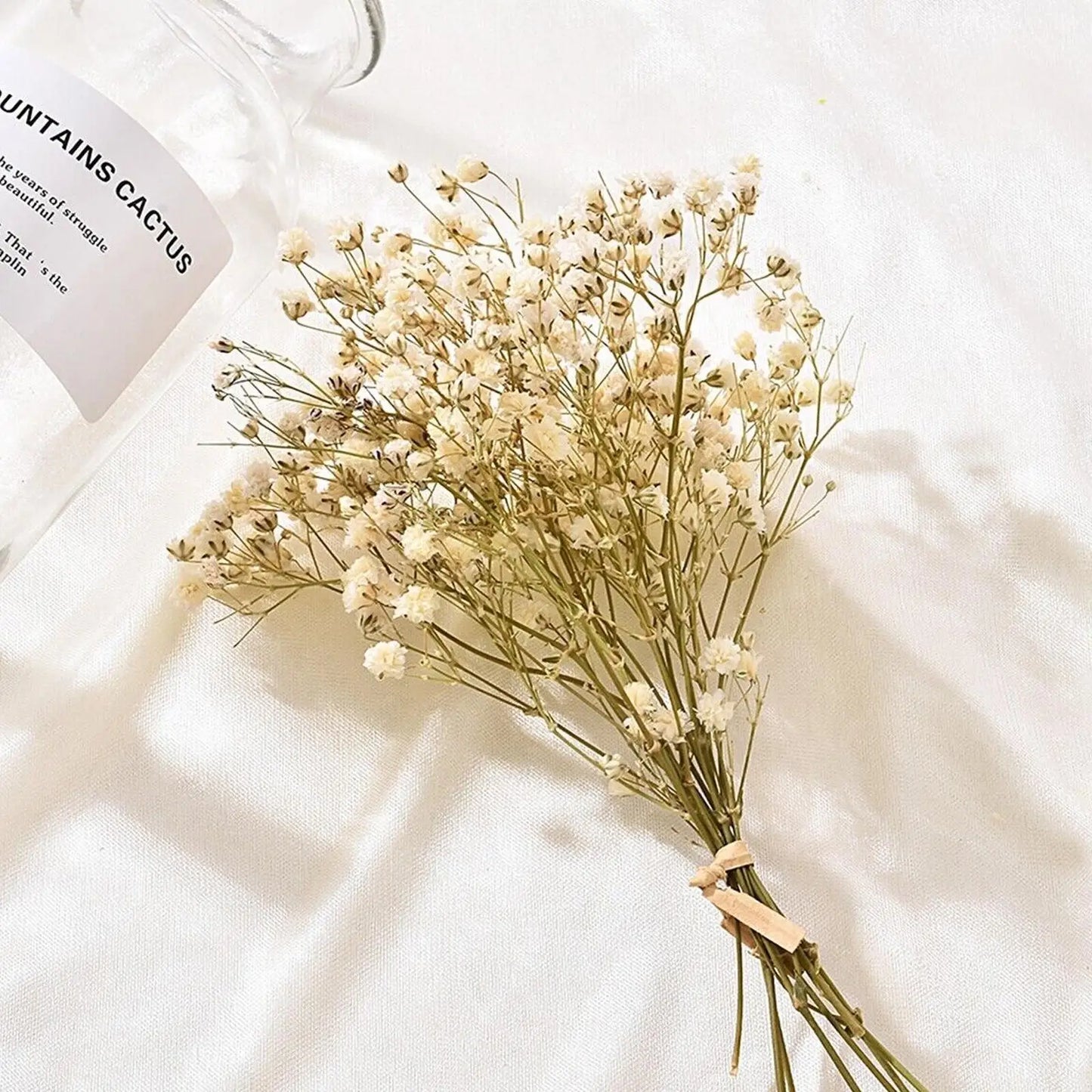 Natural Dried Baby's Breath