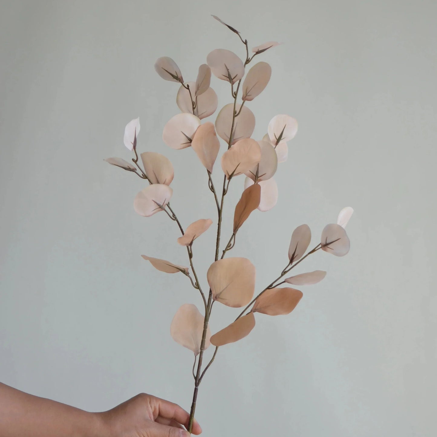 Faux Lunaria Branch