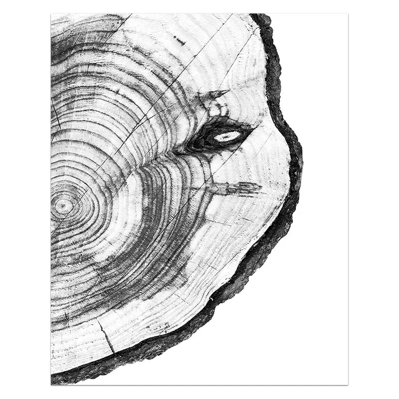 Tree Stump Canvas