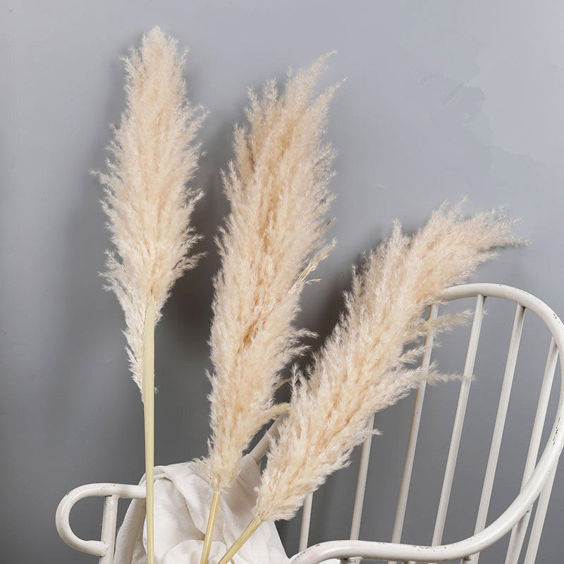 Dried Natural Grass Plumes 10-Piece Set