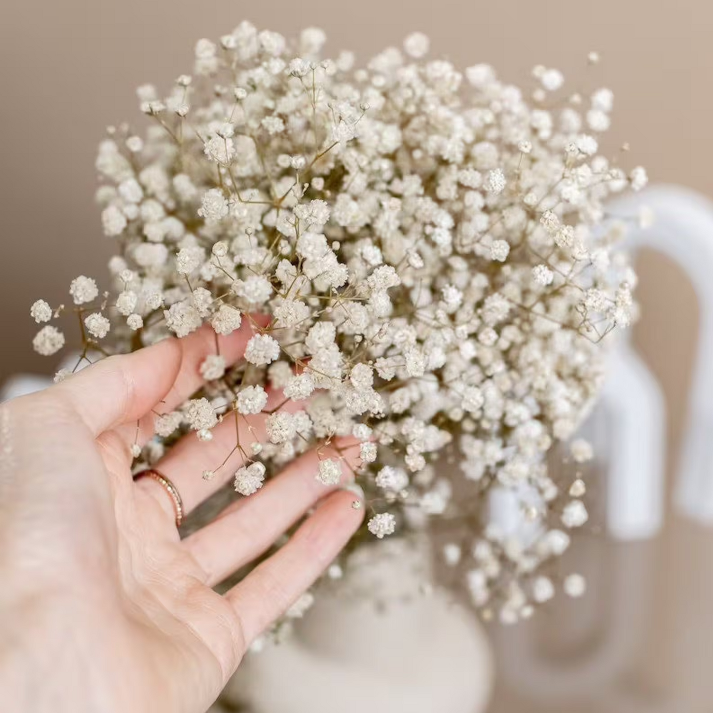 Natural Dried Baby's Breath