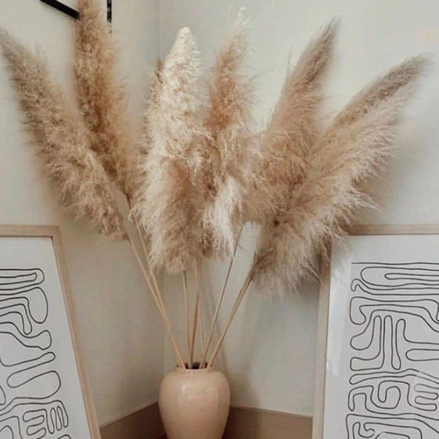 Dried Natural Grass Plumes 10-Piece Set