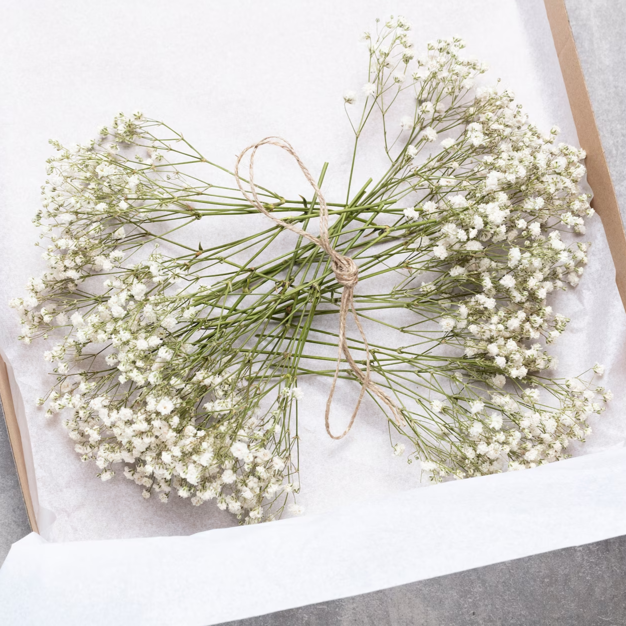 Natural Dried Baby's Breath